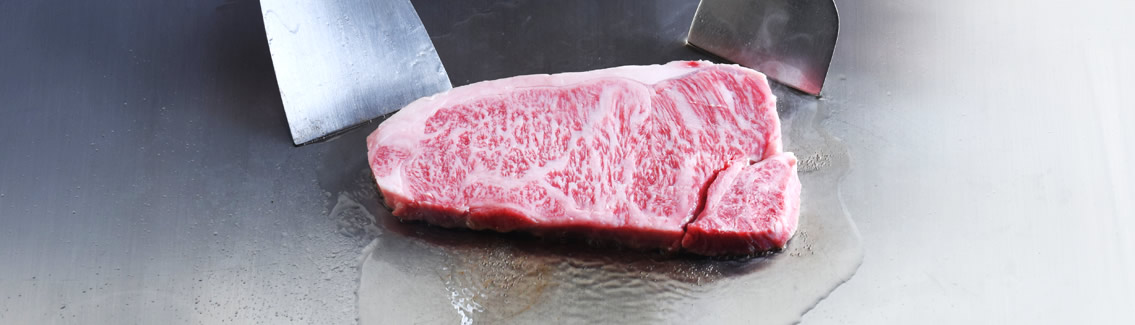 Japanese style steak